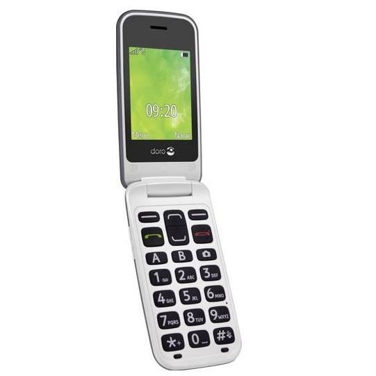 Vente T&eacute;l&eacute;phone portable Doro 2424, Clapet, 6,1 cm (2.4"), 3 MP, Bluetooth, 800 mAh, Champagne, Argent pas cher