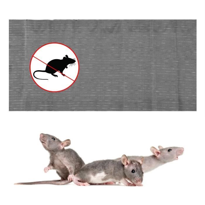 Piege a Souris Colle Collant 5 Pièces Pièges à Souris Attrape Anti Souris  Rat Glue Plaque Collante Piège Souris et à Rats - Cdiscount Jardin