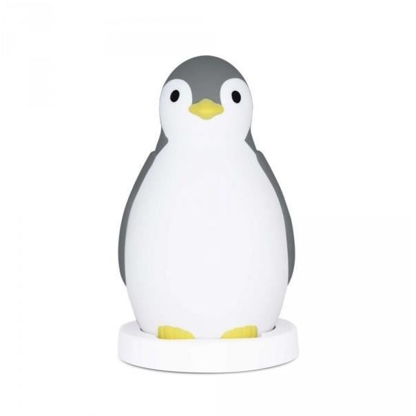 Qiilu Veilleuse Oiseau Lampe de nuit d'oiseau innovante ABS respiration  veilleuse USB chargeant des décorations de chambre pour les - Cdiscount  Puériculture & Eveil bébé