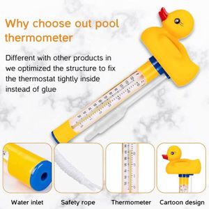 Thermomètre Flottant Pour Piscine Ou Bain - Design Animaux Dessin Animé, Avec Ficelle, Pour Intérieur/extérieur