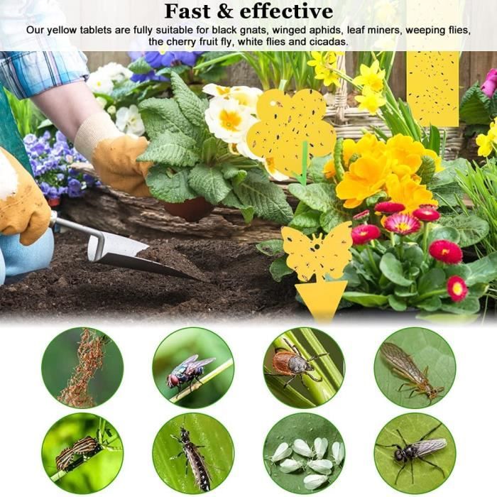 Autocollant jaune anti mouche et moucheron: 60x pièges collant sans  insecticide pour la lutte contre les parasites des plantes - Cdiscount  Jardin