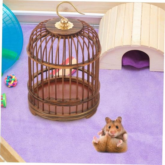 Picture Idea: Cage Pour Animaux De Compagnie Cage Extérieure Bois Nid Cage