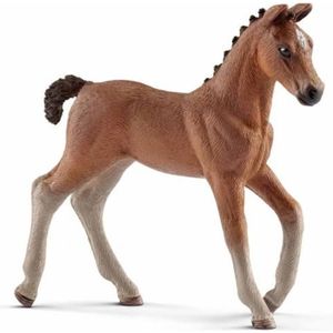 Schleich Horse Club andalous poulain cheval chevaux personnage jeu personnage 8 cm 13669