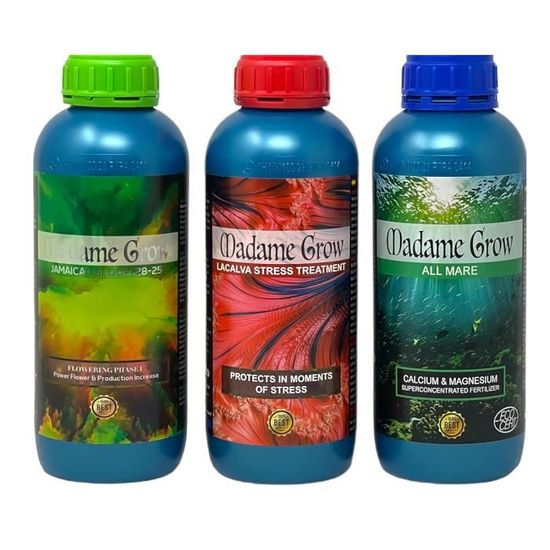 Madame Grow Engrais Universel pour Plantes Vertes Nutrition et — free download