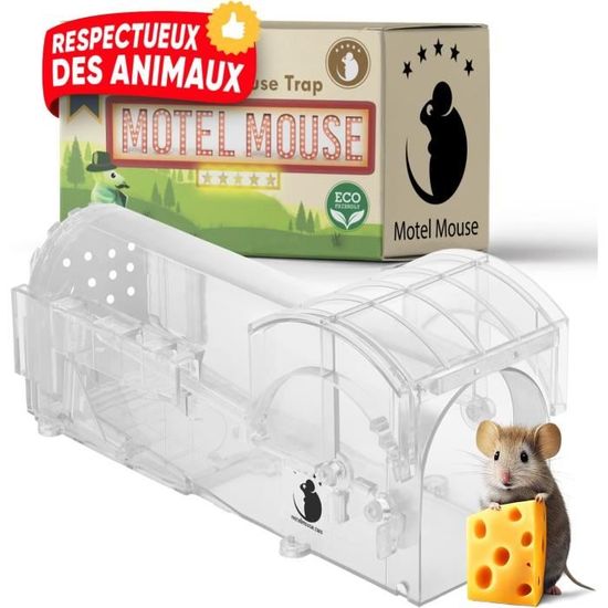 Piège à Souris Vivant Pliable XL - Cage En Acier Inoxydable, Capture Sans Cruauté, Réutilisable, Appâts Inclus - 9