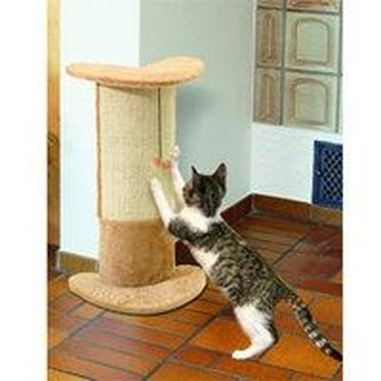 Arbre A Chat D Angle Basic Line Santo Beige Achat Vente Arbre A Chat Arbre A Chat D Angle Cdiscount Arbre A Chat D Angle Basic Line Santo Beige Achat Vente Arbre A Chat Arbre A Chat D Angle Cdiscount