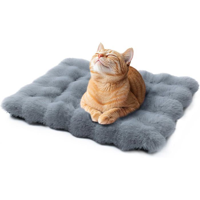 Paniers pour chats dintérieur panier lavable pour chien petit tapis plat pour chien couverture moelleuse pour chiot