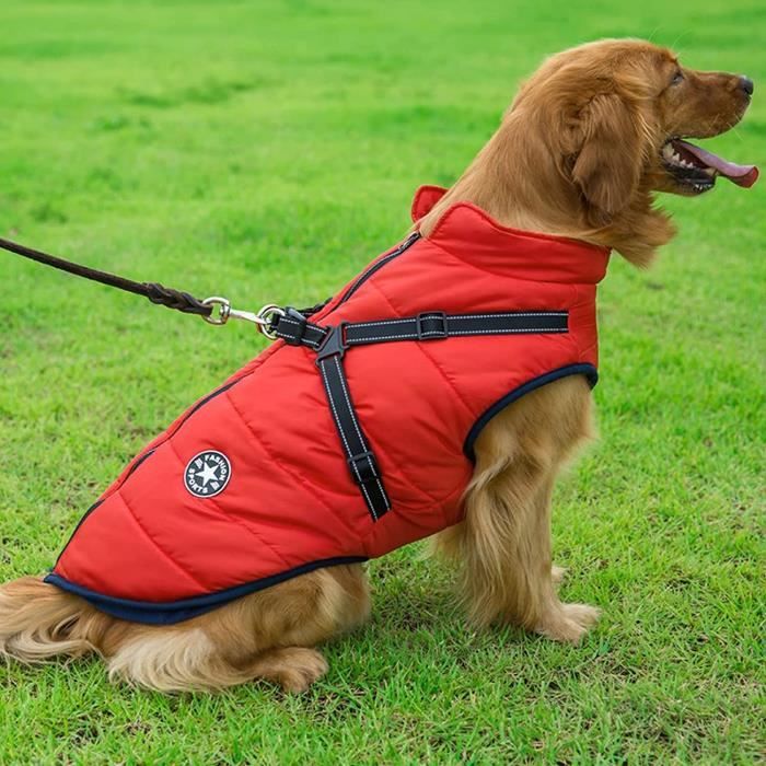 Harnais veste pour petit chien - gilet accessoire mode - Vêt'chien