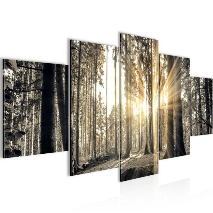 Live Art Decor - Forêt noire et blanche - Art mural