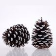 10cm Grande Pommes de Pin Véritable Naturelle Décoration de Noël Suspensions Décoratives pour Sapin ou Déco Maison-1