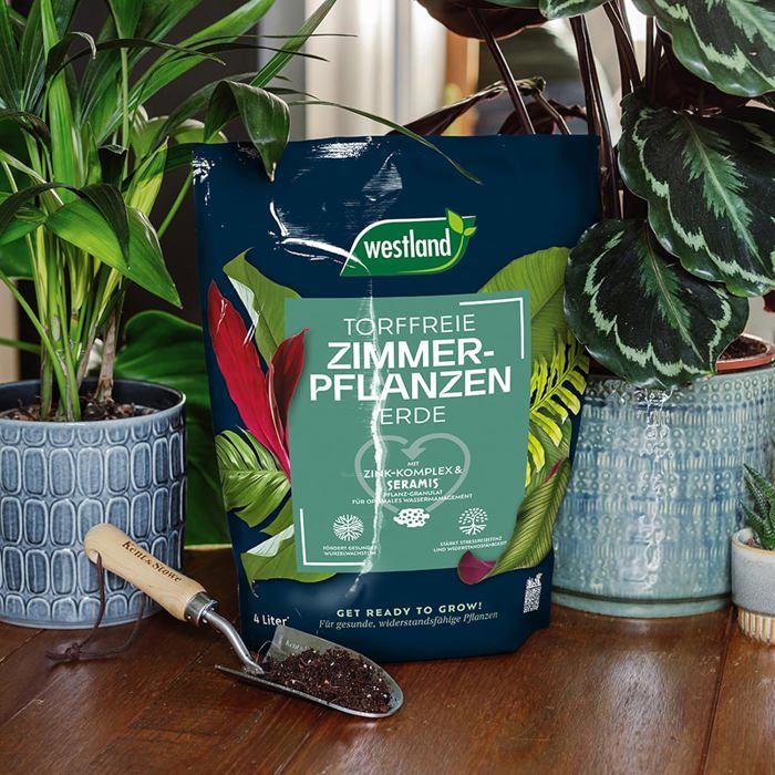 Terreau Plantes D'intérieur Westland - Sans Tourbe - Avec Seramis Et Perlite - Pour Croissance Saine - 4