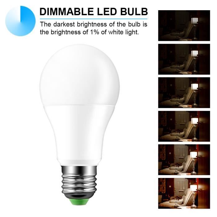 Lot De 10 Ampoules En Verre E12 G40 LED 1W, Equivalent à Ampoule