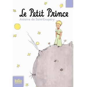 Album photo Le Petit Prince 16X16Cm 24 pages auto-adhésives - Cdiscount  Beaux-Arts et Loisirs créatifs