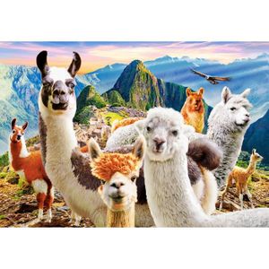 PUZZLE Puzzle 1000 pièces - Castorland - Selfie de Lamas 