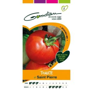 GRAINE - SEMENCE GONDIAN - Graines Légumes : Semences Tomate Saint 