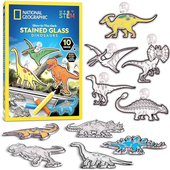 National Geographic Kit Vitrail pour Enfants - Ensemble d'Arts et d' Artisanat, Attrape-Soleils pour Fenêtre, Activités pour Enfants, Loisirs Créatifs 4-8 Ans