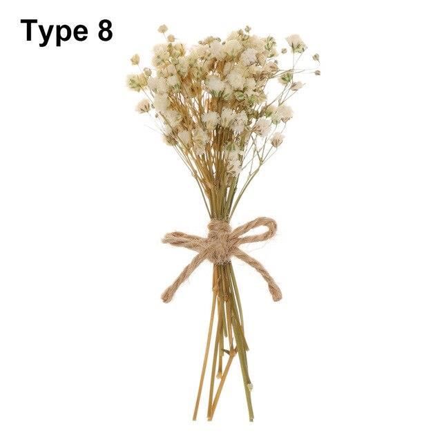 Naturel réel Mini fleurs séchées Bouquets gypsophile plante tiges coloré bricolage artisanat maison mariage décoratif Ph ES15953
