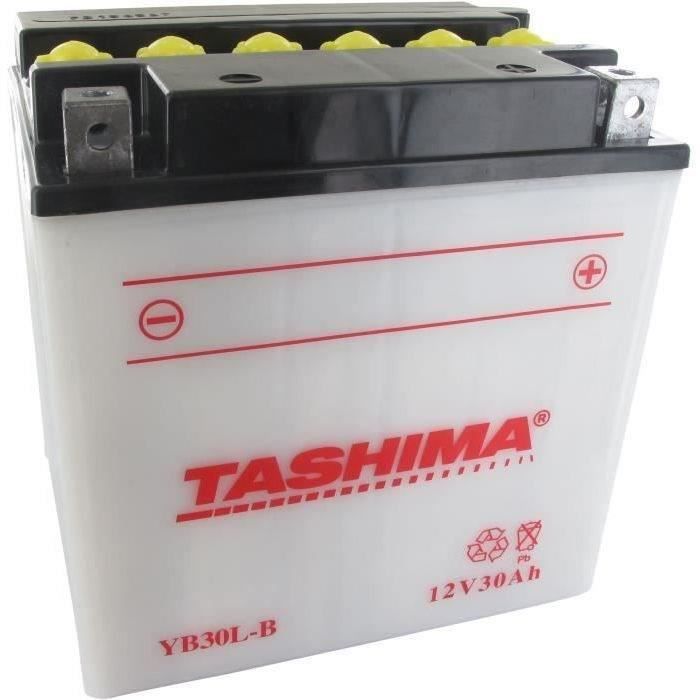 Batterie plomb TASHIMA renforcée 12V, 30A