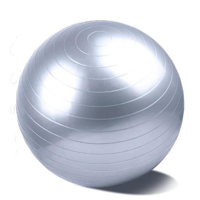 GOBRO,Swiss ball - Ballon de gym /argent / 75cm/Biens professionnels