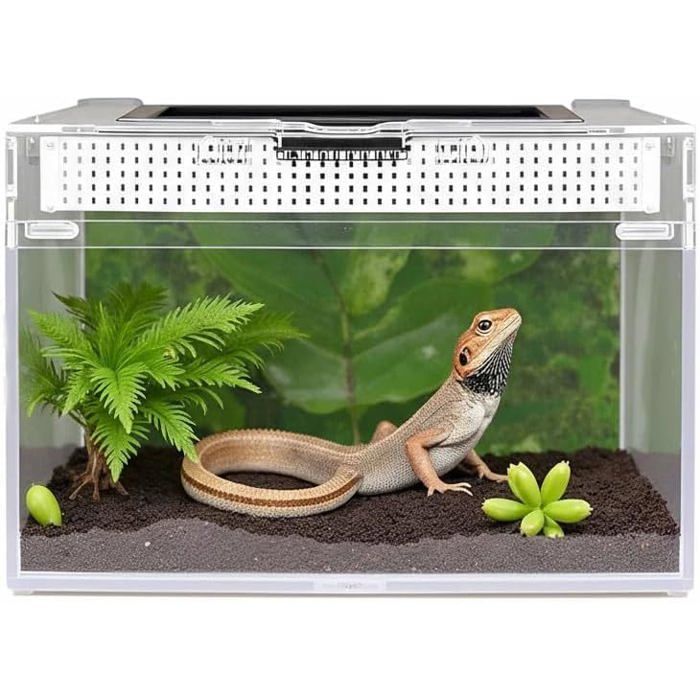 Terrarium pour Reptiles 20x20x18cm Transparent Boîte délevage en Acrylique pour Reptiles avec Trous dair Multico VIVARIUM