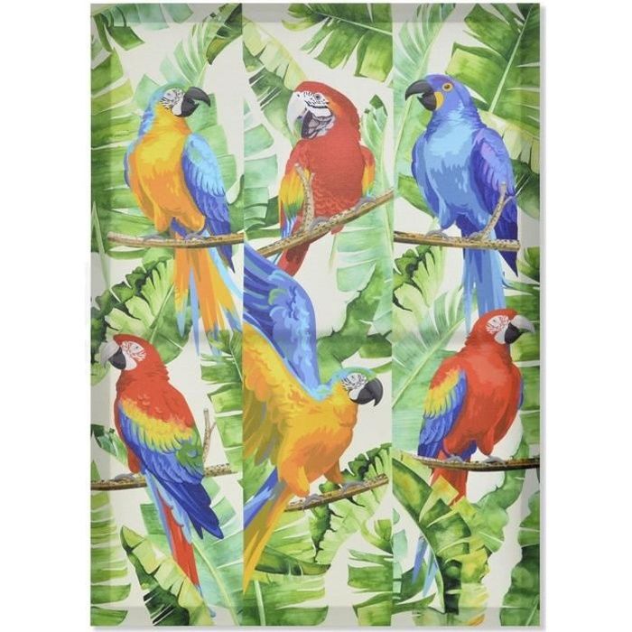 Cacatoès Perroquet Blanc Isolé Sur Fond Turquoise. Oiseaux Exotiques
