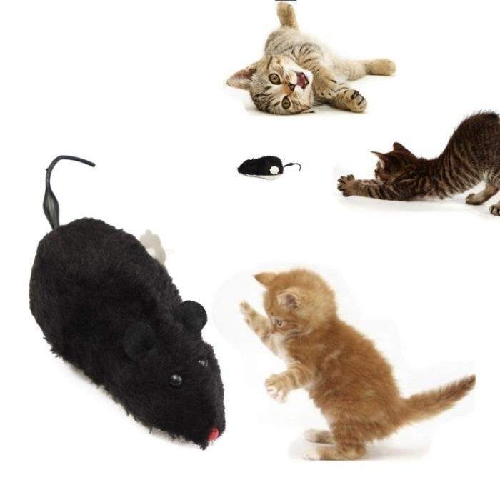 Jouet De Chat Souris Rat Mouvement Queue Chaton Fiancailles Jouets Plaisanterie Gag Couleur Aleatoire Cdiscount Jeux Jouets Jouet De Chat Souris Rat Mouvement Queue Chaton Fiancailles Jouets Plaisanterie Gag Couleur Aleatoire Cdiscount Jeux Jouets