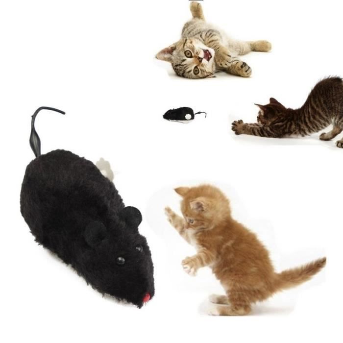 Jouet De Chat Souris Rat Mouvement Queue Chaton Fiancailles Jouets Plaisanterie Gag Couleur Aleatoire Cdiscount Jeux Jouets