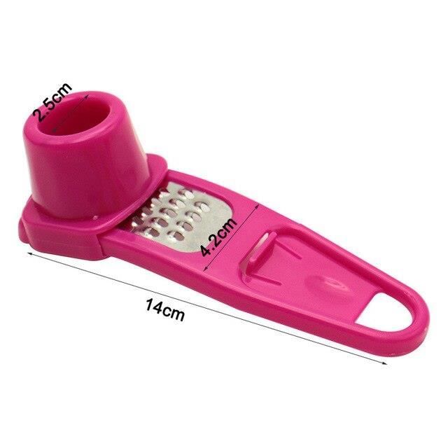 Lot De 2 Râpes En Acier Inoxydable Pour Gingembre, Ail, Wasabi - Presse-Ail Pratique Et Facile à Nettoyer