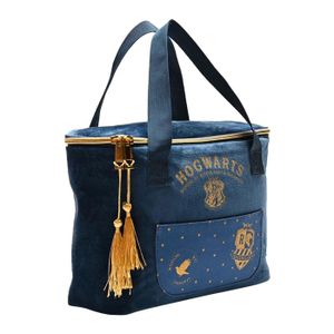 Polo AYRTON SENNA race bleu pour homme