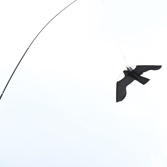 Épouvantail volant épouvantail épouvantail oiseau cerf-volant oiseau de  proie dragon avec tige télescopique en fibre de verre de - Cdiscount Jeux -  Jouets