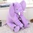 peluche elephant cache cache