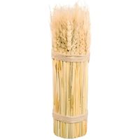 Botte épi de blé naturel 8x26cm
