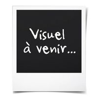 Coussin de Voyage U-Oreiller en Mousse à Mémoire Tête et Cou Support Parfait-Bouchons d'oreilles,Masque d'oeil et Sac Rose