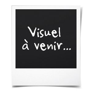 OREILLER DE VOYAGE Coussin de Voyage U-Oreiller en Mousse à Mémoire T