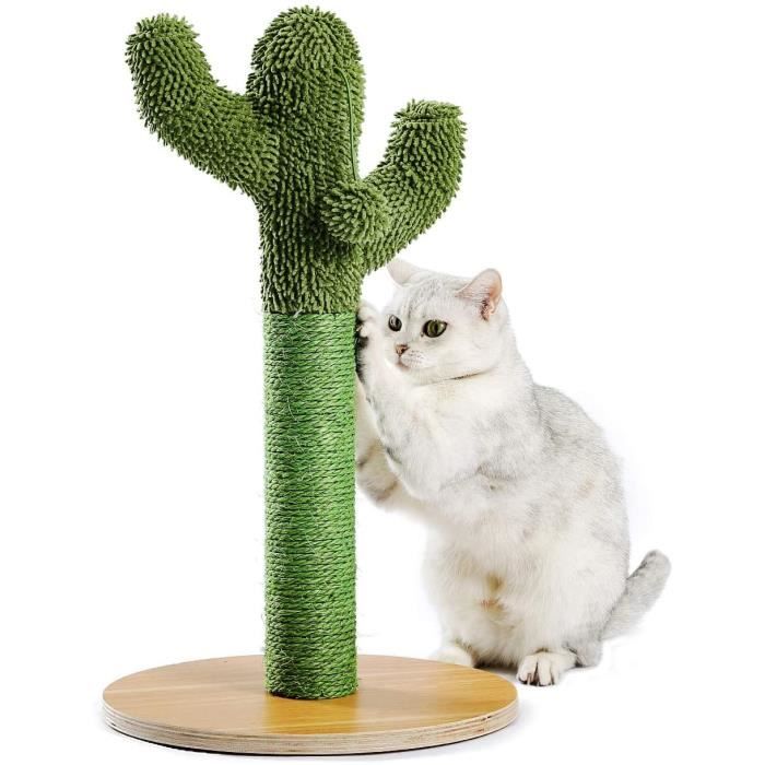 Poteau à gratter, arbre à chat cactus, poteau à gratter en corde de — free download
