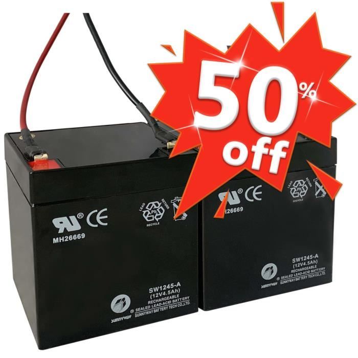 Batterie 12 V 4,5 Ah de Rechange Pour Scooter Électrique 24 V 120W E-Scooter