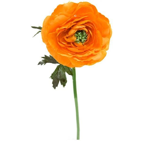 Fleur: Renoncule orange 30cm (x1) REF/FTG3002 - Cdiscount Maison