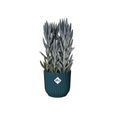 ELHO Vibes Fold Pot de fleurs rond Roues 35 - Bleu - Ø 35 x H 32 cm - intérieur - 100% recyclé-1