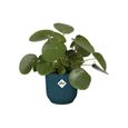 ELHO Vibes Fold Pot de fleurs rond Roues 35 - Bleu - Ø 35 x H 32 cm - intérieur - 100% recyclé-3