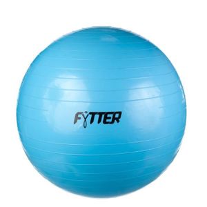 Viavito 200kg Ballon De Gymnastique Suisse Anti-Eclatement avec Pompe