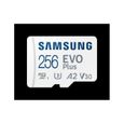 Carte Mémoire Micro SD avec Adaptateur Samsung EVO Plus 256 GB-0