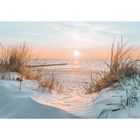 WALLARENA Papier Peint Intissé Plage Mer 254x184 cm Panoramique Tropicale Chambre Salon Photo Non Tissé Muraux Trompe l'oeil