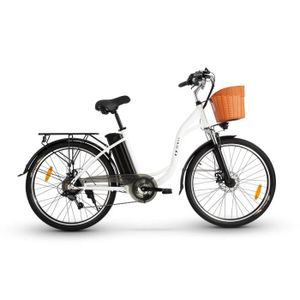 VÉLO ASSISTANCE ÉLEC Vélo électrique DYU C6 vélo électrique intelligent