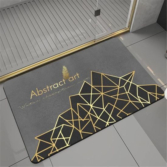 Pierre Absorbante Salle De Bain Diatomite, Tapis Diatomite Salle De Bain, Tapis Douche Absorbant