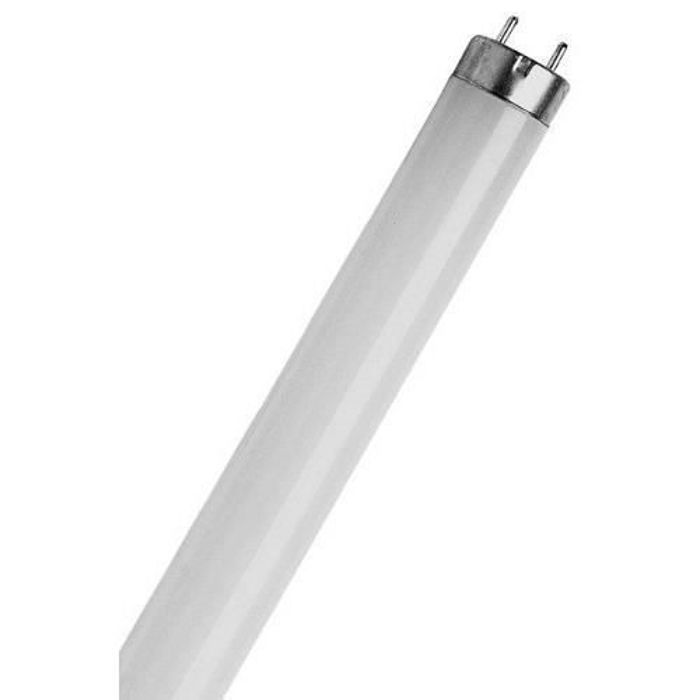 Sylvania -F18W-Plus Triphosphoré Tube lumineux Fluorescent T8, 2 ft 18W-Colour : Froid Blanc 840