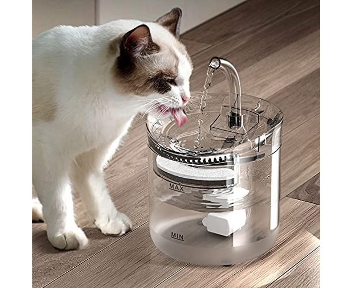 Meilleurs prix pour Fontaine à eau pour animaux de compagnie, distributeur automatique de boissons électriques pour chats et chiens, filtre, prise A