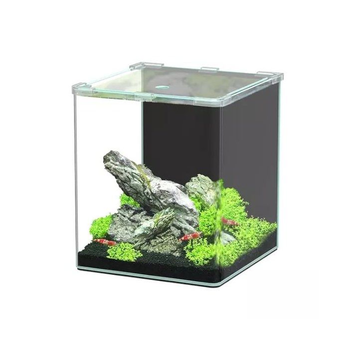 Aquarium Poisson Kubus Curve 20l Basic - Aquatlantis