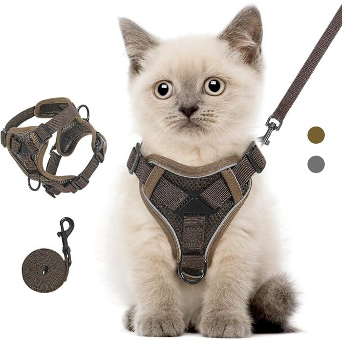 Ensemble Harnais et Laisse pour ChatsChatonsChiotsMarche  Harnais régble pour chaton avec bande réfléchissanteXS CAFé LAISSE