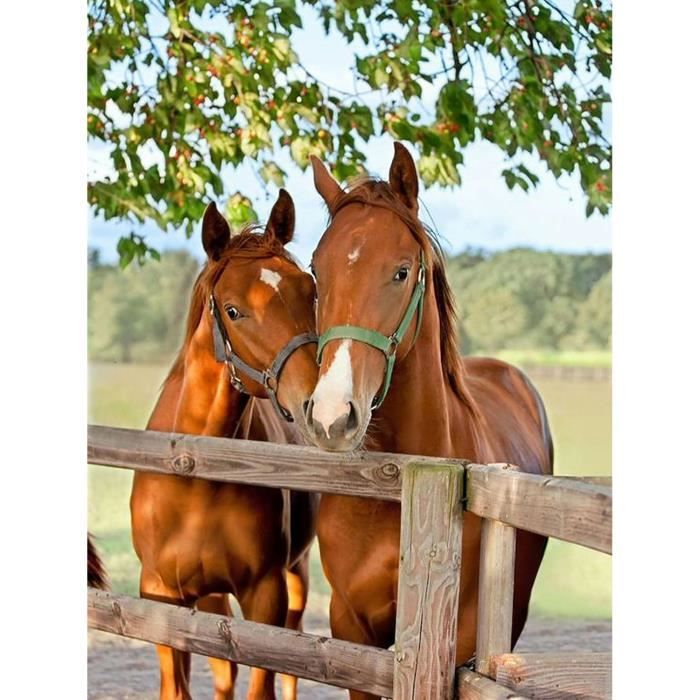 Diy 5D Diamond Painting Cheval Cascade Complet Accessoires, Forêt L'Eau