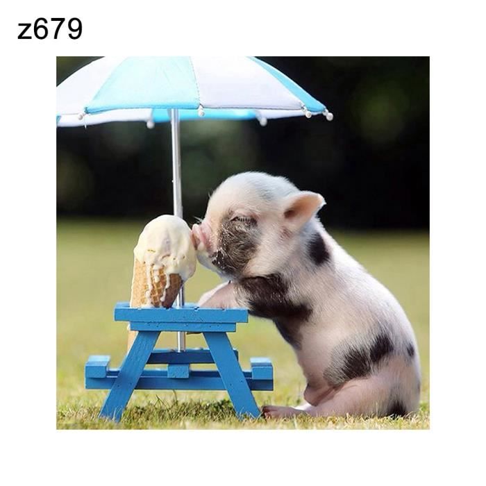 30x30cm Cochon Chat Beaute Complet Rond Diamant Peinture Point De Croix Bricolage Artisanat Decor Z679 Cdiscount Maison